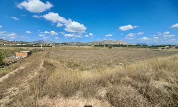 FINCA RUSTICA CON NAVE EN HONDON DE LAS NIEVES.